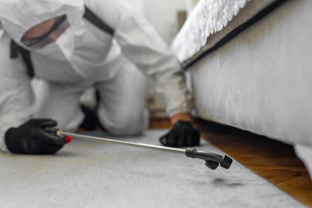 Professional Termite Control technician working in East Pittsburgh, PA