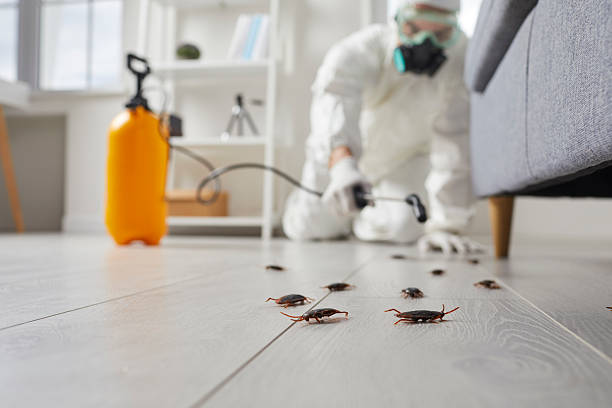 Trusted Termite Control service in East Pittsburgh, PA - Nex Pest Control